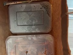 -盐官日光域房车营地·有盐餐厅