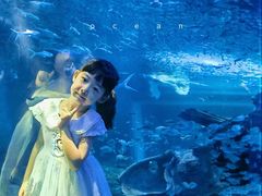 -多彩贵州城极地海洋世界