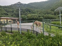 -无锡动物园·太湖欢乐园