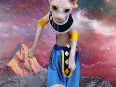 -喵zoo家庭繁育猫舍(尖东智能花园店)