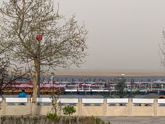 -白洋淀景区