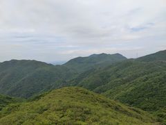 -大围山国家森林公园
