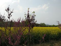 -贵阳市花溪国家城市湿地公园