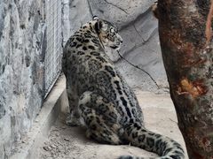 -青藏高原野生动物园