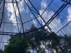 -野象谷景区