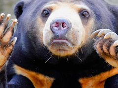 -杭州野生动物世界