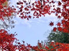 -岳麓山风景名胜区