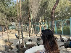 -水上乐园·欢乐世界