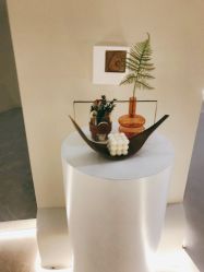 -VE专注问题肌·赛诺龙&科学美肤中心