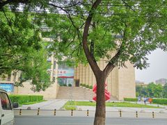 -中关村茶点