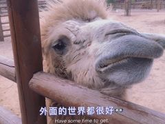 -太原动物园