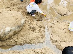 -苏州河梦清园环保主题公园