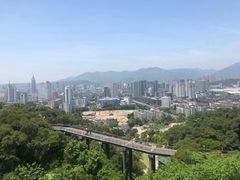 -金鸡山公园