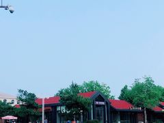 -日照海滨国家森林公园