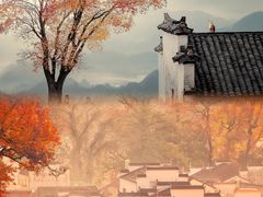 -塔川景区