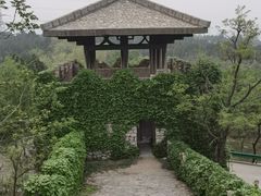 -原山国家森林公园