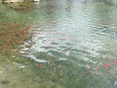 -黑龙潭公园