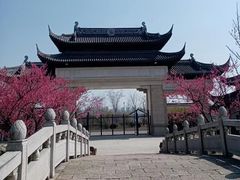 -苏州上方山国家森林公园