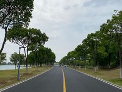 -漕湖湿地公园