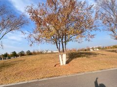 -盘龙城国家考古遗址公园