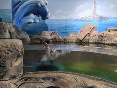 -沙沙哗啦海洋馆(华宇百花谷店)