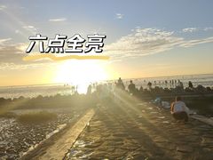 -南汇新城海滩