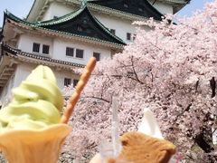 -热田神宫