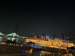 -武汉知音号