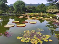 -国家植物园南园