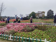 -铁山坪森林公园