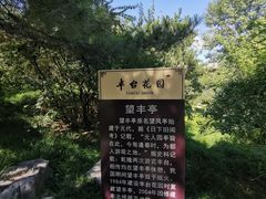 -丰台花园