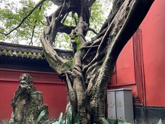 -成都武侯祠博物馆