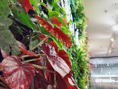 -Peet's Coffee皮爷咖啡(上海长风大悦城店)