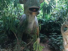 -呀路古热带植物园