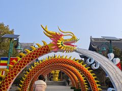 -瀛洲公园