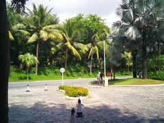 -三亚亚龙湾天域度假酒店