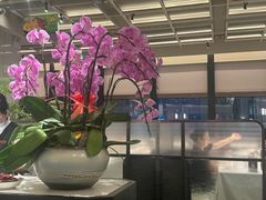 -谭厨中山传家菜.乳鸽.脆鲩鱼(华强北中航城店)