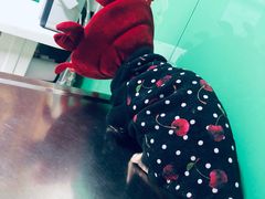 -半岛宠物医院24小时(科华中路店)