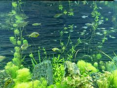 -上海海洋水族馆