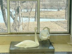 -沈阳森林动物园