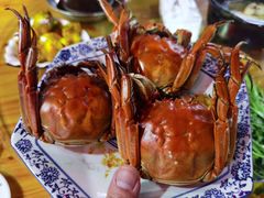 -巢湖名吃·徽府农家菜(半汤店)