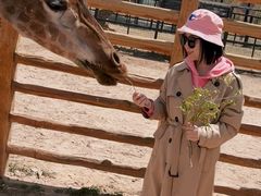 -鄂尔多斯野生动物园