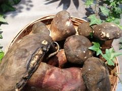 -滇铺子(欣都龙城店)