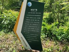 -南京老山国家森林公园