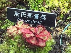 -国家植物园南园