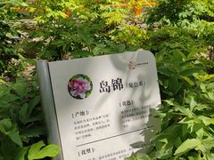 -太阳宫公园