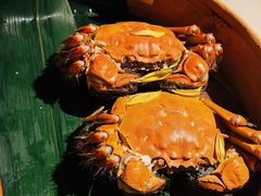 -成隆行·蟹王府(淮海店)