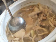 -鸽鸟轩(石岐店)