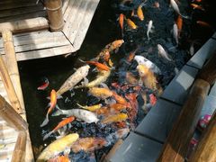 -上海大自然野生昆虫馆(东方明珠·爬宠昆虫探索中心)