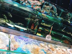 -金翠皇宫粤菜·点心·海鲜(科技园店)